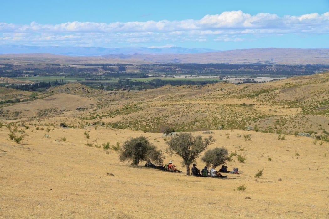 A photo taken on the day when Invercargill and Gore set new records for high temperatures. A group of walkers in Alexandra seek shade under three matagouri, looking like a scene from the Serengeti.