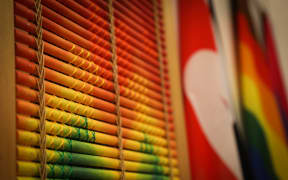 Mana Takatapui 2012 by Elizabeth Kerikeri hangs in the center of the wall in the newly refurbished Rainbow Room at Parliament.