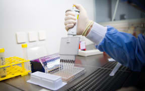 Cancer research. Laboratory developing therapeutic vaccines for the treatment of lung cancer by stimulating the immune system.