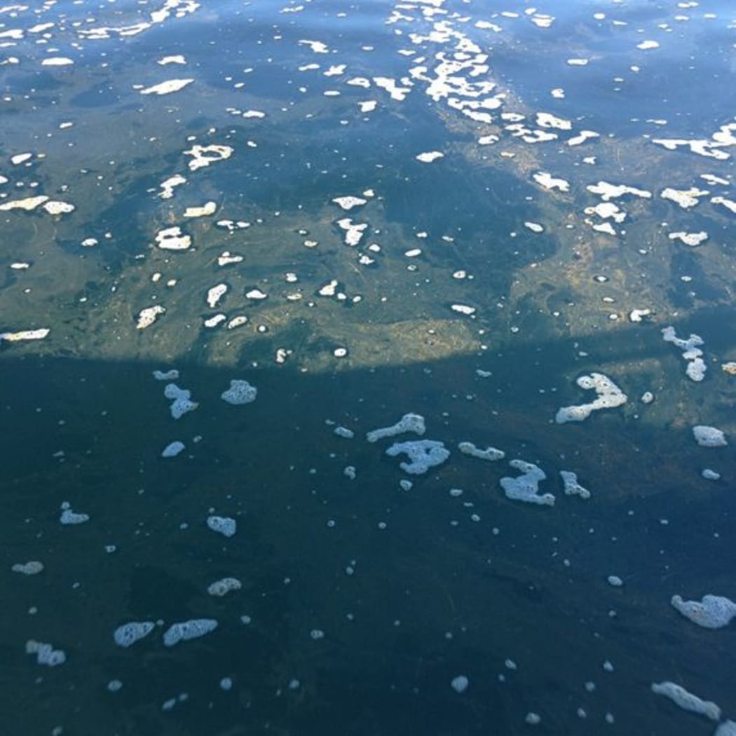 6 hectare patch of slime/lake snow in Stevensons Arm,  Lake Wanaka, June 2016