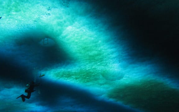 Less than one percent of ambient light makes it through the sea ice but it is enough to trigger a bloom of ice algae in spring. Snow on the ice surface creates the darker patches.