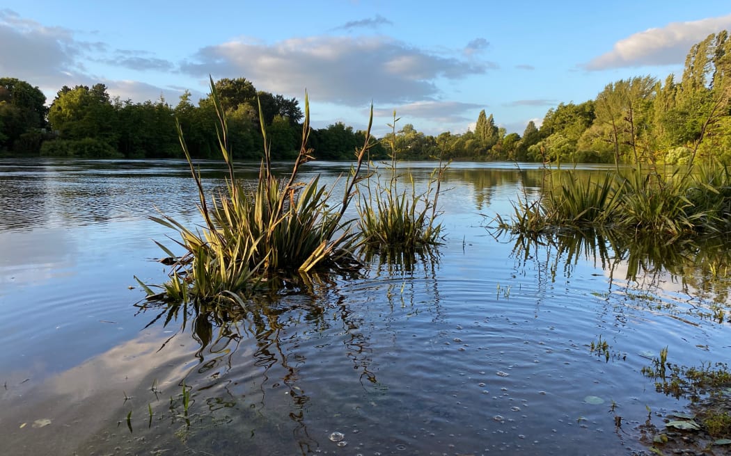 Waikato River