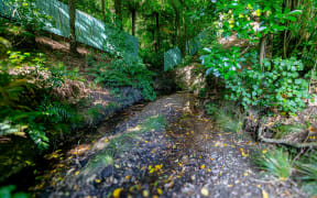 Kumutoto Stream, The hidden river in wellington city