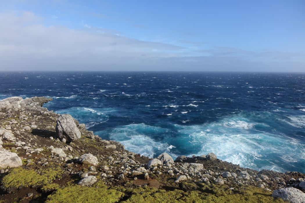 The ocean view from the sub-antarctic Auckland Islands