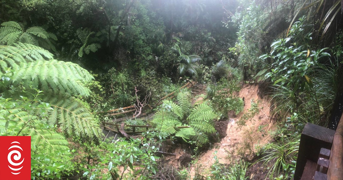 Almost a year since floods, Auckland parks and reserves still waiting for fixes - Vimarsana News