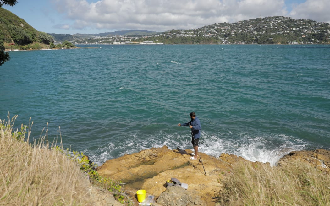 Fishing on the Wellington shore.