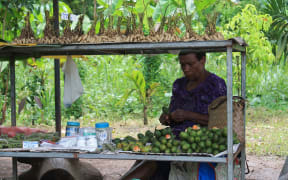 Betelnut trader, Papua New Guinea.