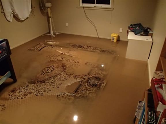 Flooding at a Nelson property.
