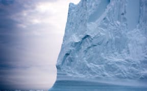 Iceberg floating in Arctic Ocean at Greenland