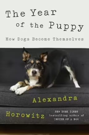 The Year of the Puppy book cover