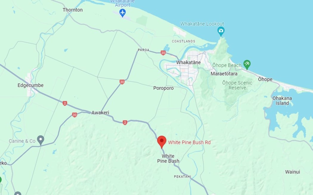 A male pedestrian was seriously injured on White Pine Bush Road, Whakatāne, shortly after midnight on 18 August.