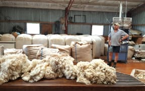 Stephen Jack in the shearing shed