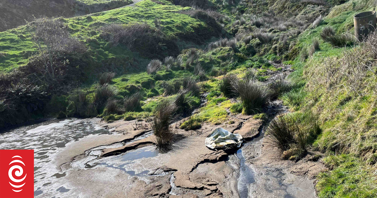 Waikato pig farm faces record $437k fine for discharging effluent to land, water
