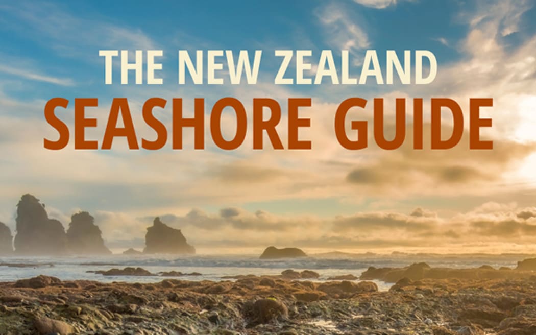 The New Zealand Seashore Guide