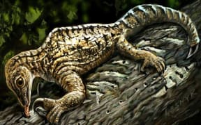 The Drepanosaurus reptile