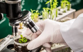 University laboratory with microscope and plants