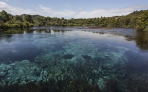 Te Waikoropupu , Golden Bay