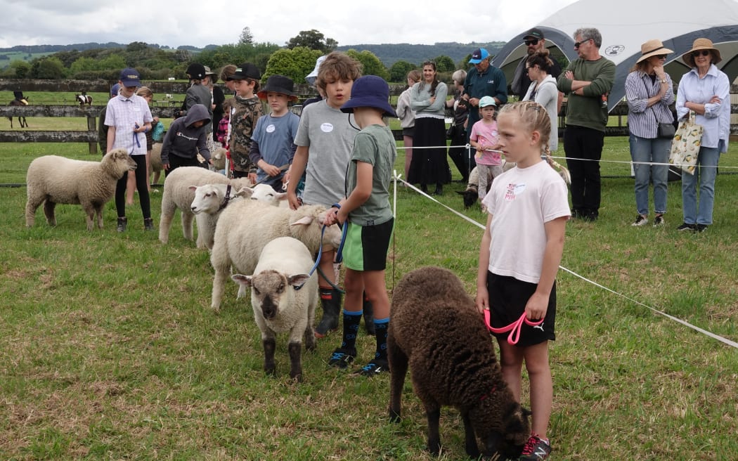 Children await their turn in the pet lamb ring.