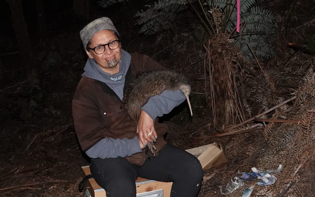 Green MP and Bay Bush Action member Darleen Tana with one of 21 kiwi released in Opua State Forest.