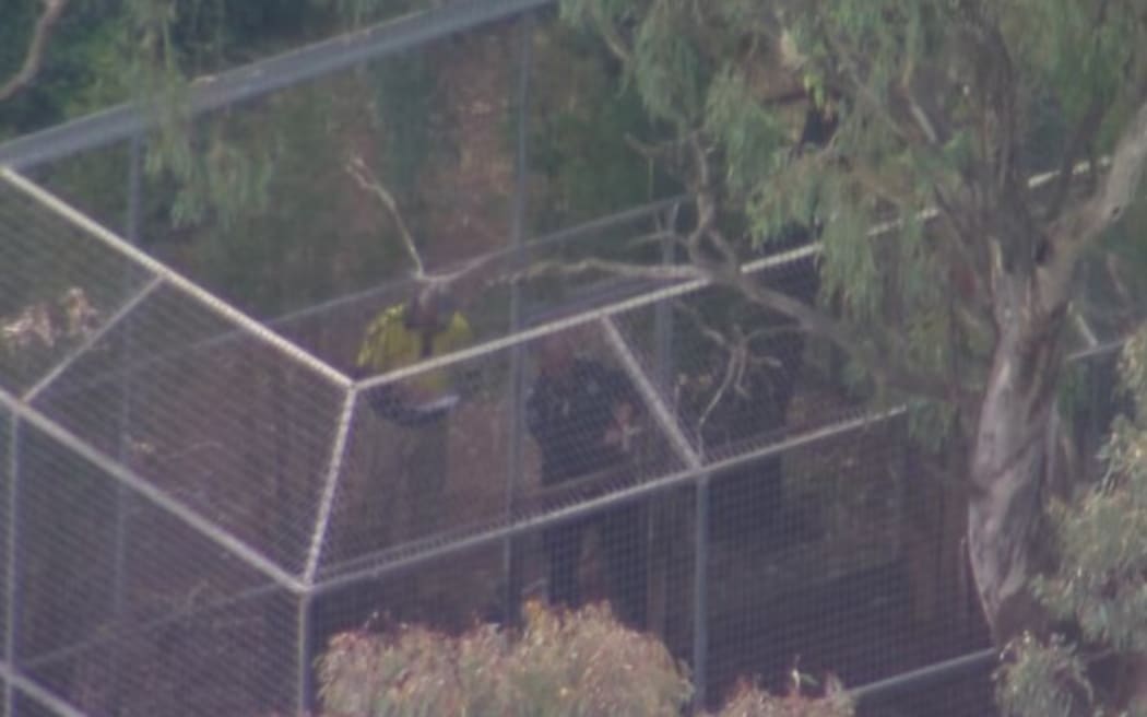 A woman who was bitten by a lion at a zoo west of Brisbane is set to undergo another surgery.