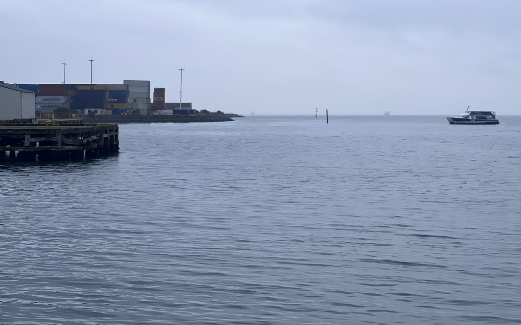 An East by West ferry returns to dock after a search for a man who went overboard in the Wellington Harbour.