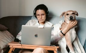 woman working from home with dog