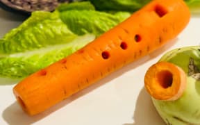 A carrot recorder