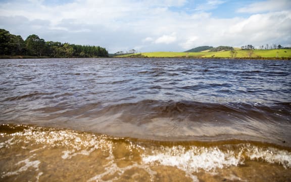 Auckland is providing a blueprint of how to eradicate invasive fish from New Zealand's waterways.