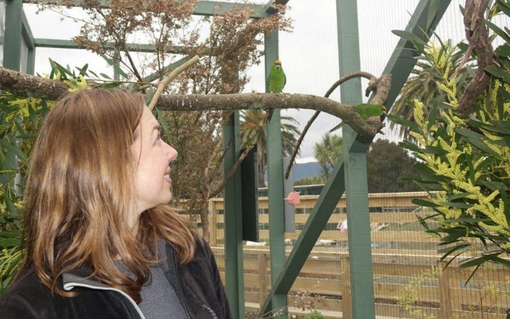 Meg Rutledge with a kakariki at Natureland.