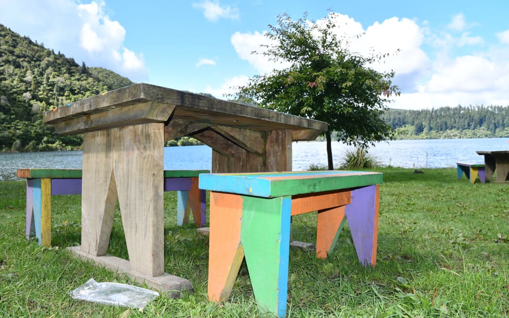 Rotorua Lakes Council has removed bins at Blue Lake in a trial to deter wasps.
