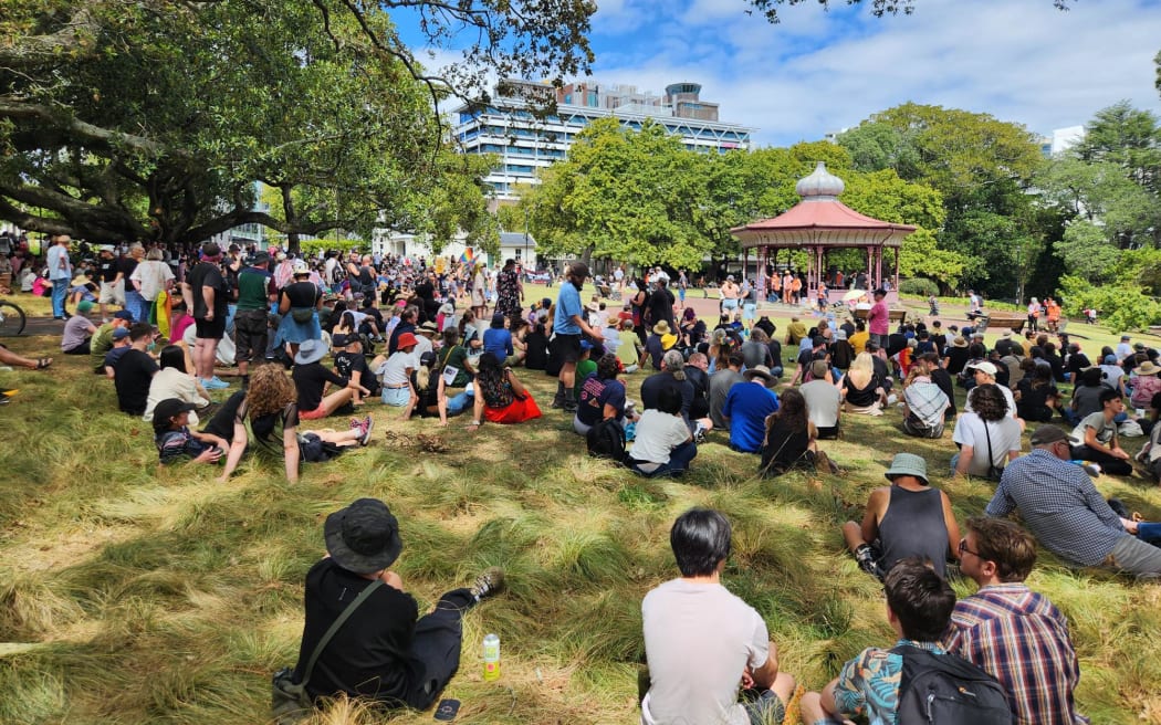 Protesters gather at a demonstration against Brian Tamaki and the Destiny Church.