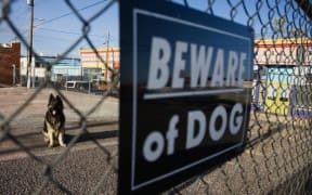 Beware of the dog sign