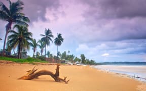 Beach - Trinidad and Tobago - golden sand and palm trees