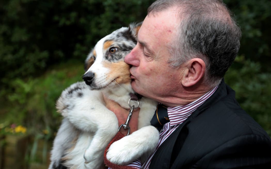 Labour’s Animal Welfare spokesperson Trevor Mallard holding an Australian shepherd puppy, Violet.
