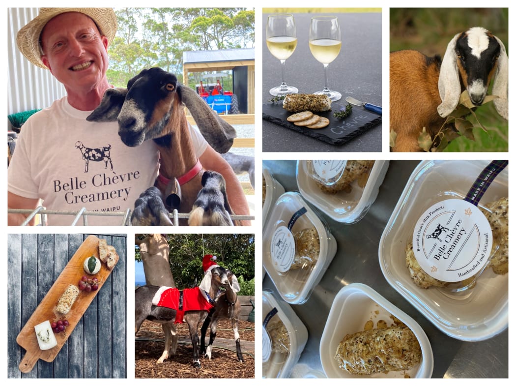 Goats - Belle Chevre Creamery