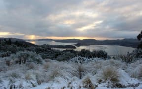 Snow in Dunedin