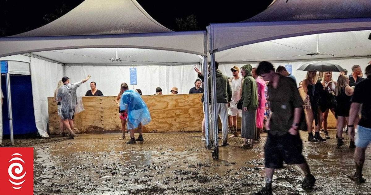 Festival-goers clamber through mud for rainy New Year's Eve - Vimarsana News