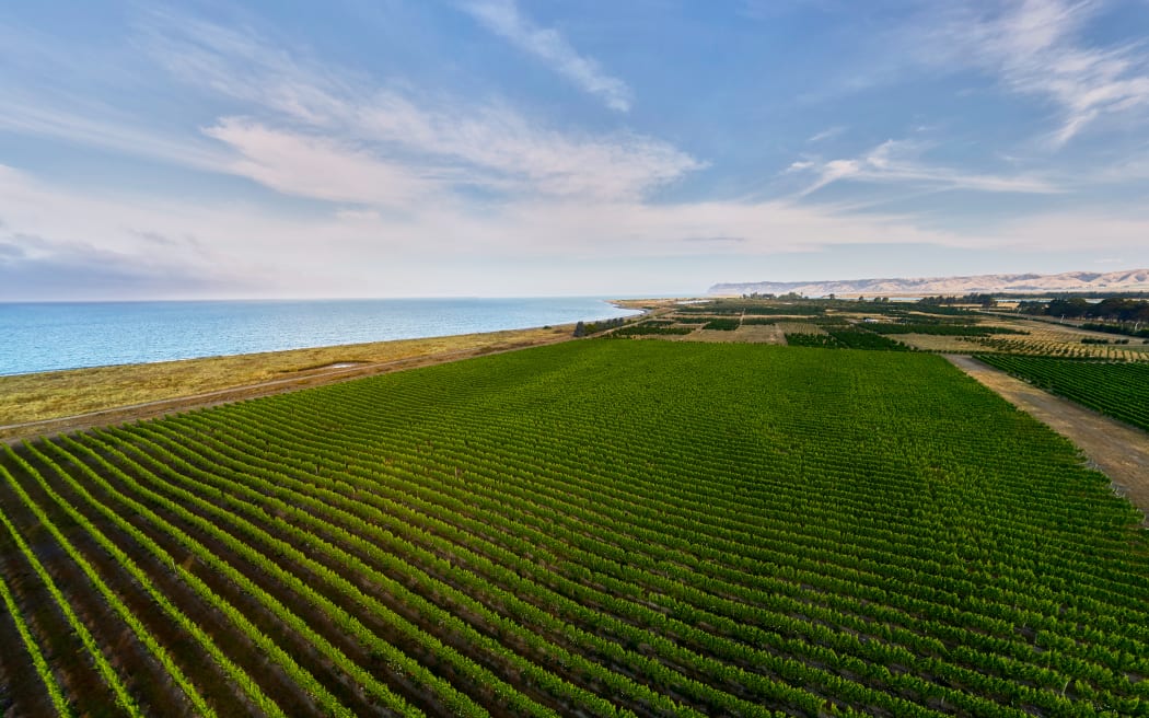 te Pā Wines