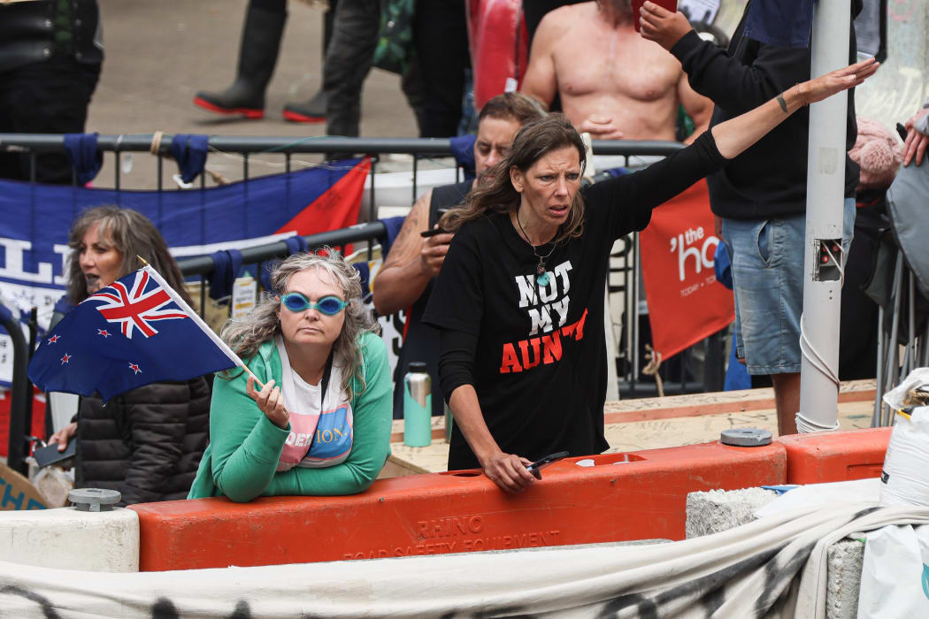 Odd fellows at the barricade. Two protesters stand at the forecourt barricade during the police clean-up. One holds a small New Zealand flag and wears swimming goggles, the second gives a nazi salute.