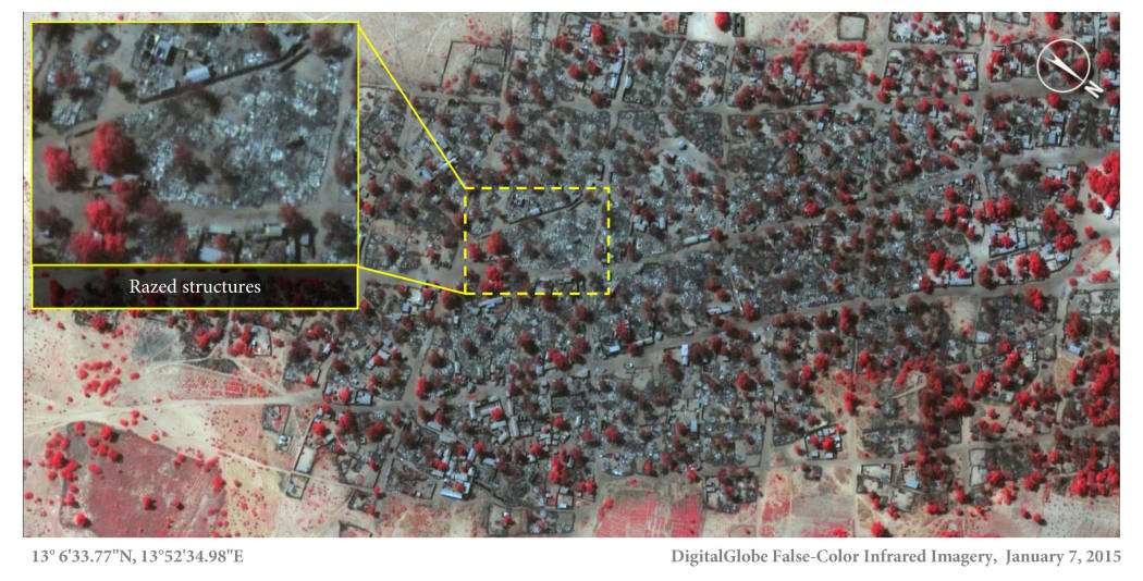 Amnesty International says these two infrared satellite images show the scale of last week’s attack on the village of Doron Baga. It says the images - taken on 2 January (top) and 7 January (bottom) - show densely packed structures and tree cover (seen in red) before and after the village was razed.