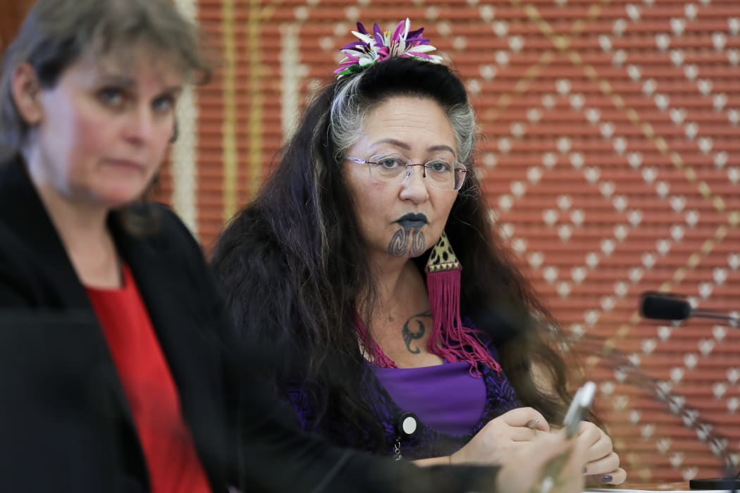 Green Party MP Elizabeth Kerekere in select committee