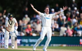 Matt Henry of the Black Caps celebrates the wicket of  Steve Smith, second Test, Christchurch, 2024.