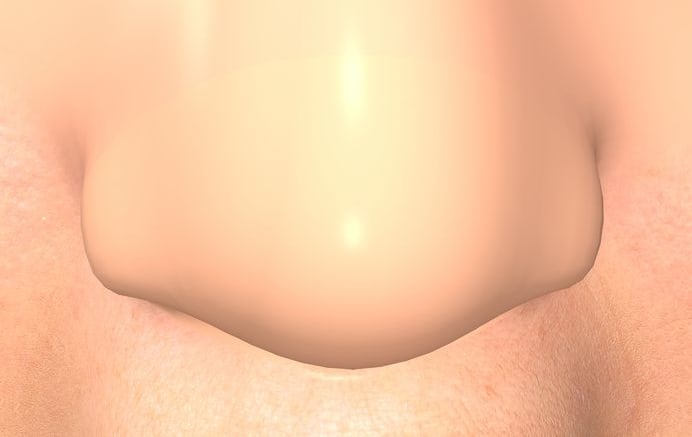 An artificial nose