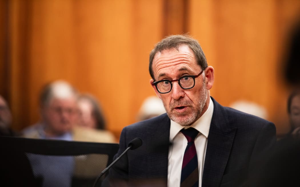 Andrew Little submitting at select committee for the Treaty Principles Bill