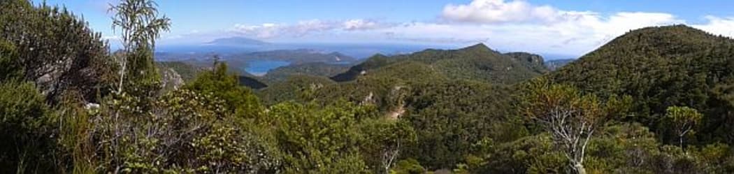 View from the largest black petrel colony on Hirakimata/Mount Hobson on Great Barrier Island across to Hauturu/Little Barrier Island which is home to a very small colony of black petrels.