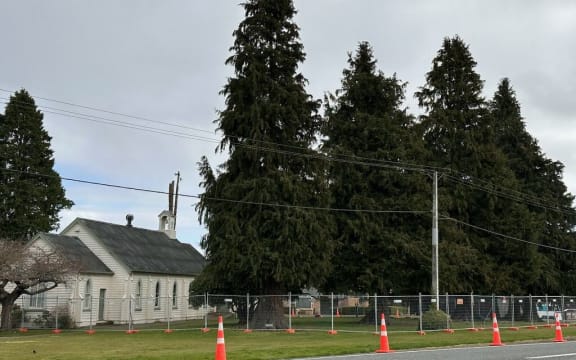 Lumsden Tree Lovers members protested the felling of Lawson Cypress trees dating back more than 100 years near the Lumsden Presbyterian Church.
Photos: Supplied/Kim Spencer-McDonald