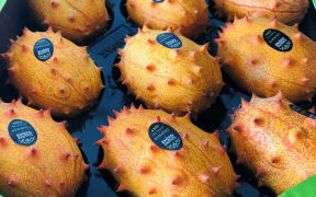 Enzed Exotics kiwano in a tray, ready for market.