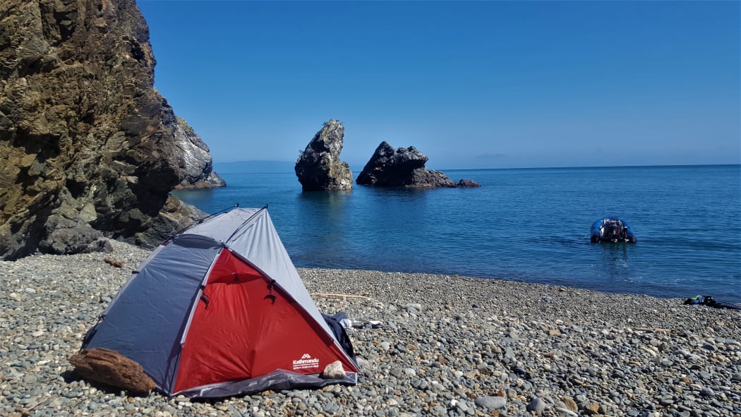 A kiwi style staycation.
