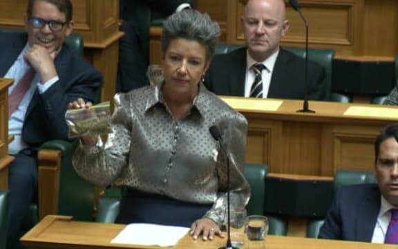 Paula Bennett in the House of Parliament with 14 grams of a cannabis lookalike.
