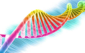 9502646 - dna strand modern design, bright and colorful
